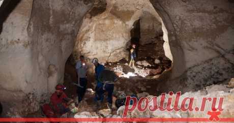 На стройке «Тавриды» в Крыму найдена пещера с останками мамонтов  В Крыму во время дорожных работ,  связанных со строительством трассы «Таврида», вскрыли крупную карстовая полость. Проведенная спелеологами топографическая съемка показала, что на сегодняшний день эт…