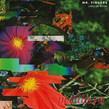 Brianna, Mr. Fingers – Leev Ur Mynd [Alleviated Records] Artist: Brianna, Mr. Fingers Title: Leev Ur Mynd Label: Alleviated Records Catalog #: ML9020 Style: Deep House / Electro / Electronica Release Date: 2026-04-24 Quality: FLAC / 320kbps / 16bit-44.1kHz Tracks: 12 Total Time: 80:37 — download MP3 & FLAC 320kbps. Fresh releases on Musicvibez