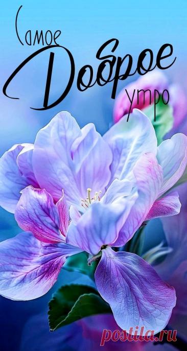 С добрым утром Привет Здрасте