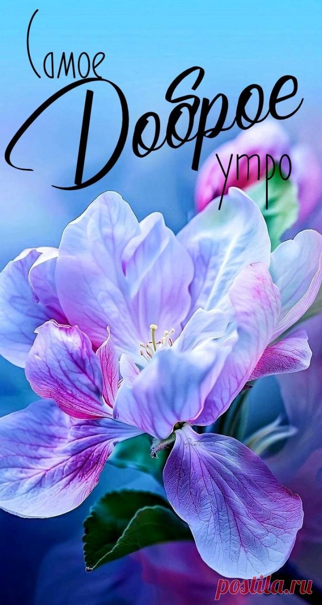 С добрым утром Привет Здрасте