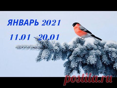 Таро прогноз на январь 2021 года (период с 11.01.21 по 20.01.21) Расклад на колоде  Оракул Симболон