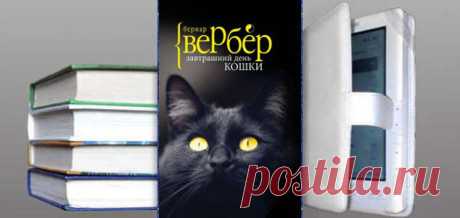 Бернар Вербер. Книга: Завтрашний день кошки. Купить, скачать | Фантастика и Фэнтези