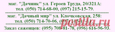 Сорт черешни Дрогана желтая, описание сорта, позднего срока созревания, желтая черешня, купить саженцы, заказать почтой, качественные саженцы, на карликовом подвое, каталог сортов черешни, продажа саженцев, хорошие саженцы, магазин саженцев, Киев, Харьков, Полтава, Днепропетровск, Украина