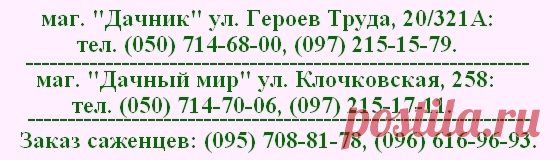 Сорт черешни Дрогана желтая, описание сорта, позднего срока созревания, желтая черешня, купить саженцы, заказать почтой, качественные саженцы, на карликовом подвое, каталог сортов черешни, продажа саженцев, хорошие саженцы, магазин саженцев, Киев, Харьков, Полтава, Днепропетровск, Украина