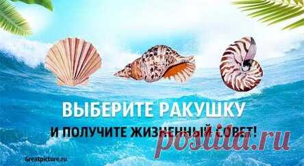 Выберите ракушку и получите жизненный совет! Все точно!