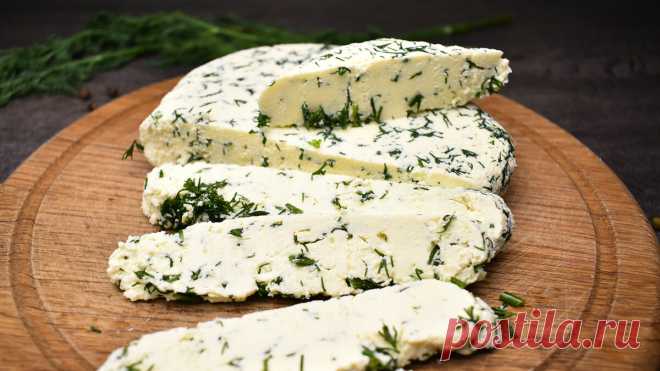 Научили меня готовить вкусный домашний сыр: рецепт проще простого, справится каждый | Готовим с Екатериной Койдой | Яндекс Дзен