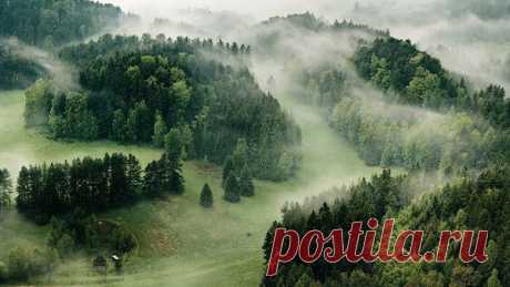 леса / Природа / Ветры Равнин / Pinme.ru / Катерина