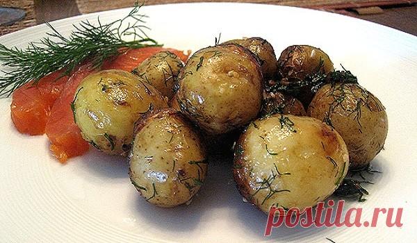 Молодая картошка в сметане — Домашняя кулинария