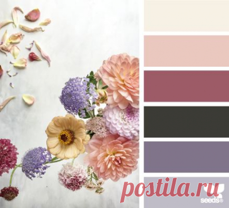 Pinterest: Discover and save creative ideas