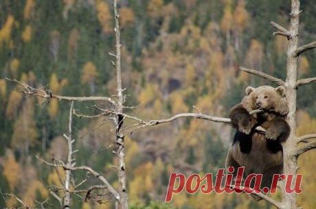 Цитаты Великих Людей
ELena Šlekytė √ιק