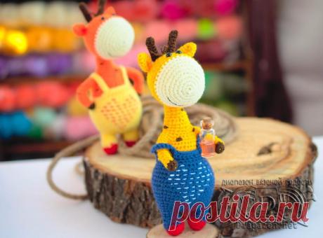 Жираф Константин