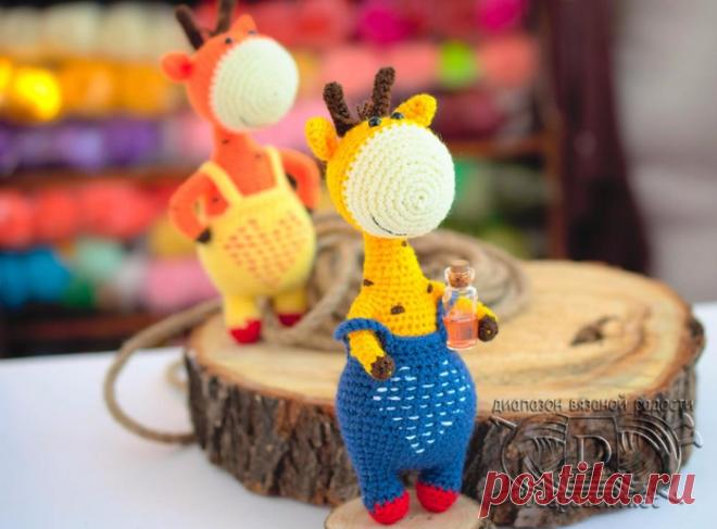 Жираф Константин