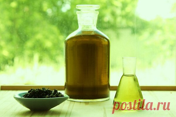 Используйте силу природы! Полезное масло из крапивы | Цветочный дом Самсон Букет | Яндекс Дзен