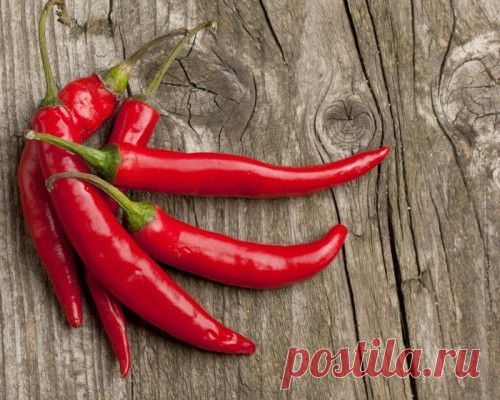 Закуски, соусы и приправы домашние с острым перцем / Простые рецепты