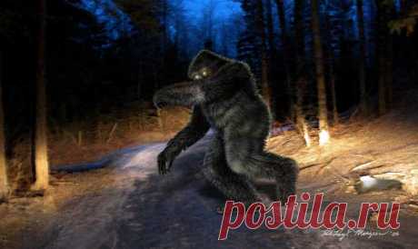 Sasquatch Art
(Изображение JPEG, 760 × 452 пикселов)