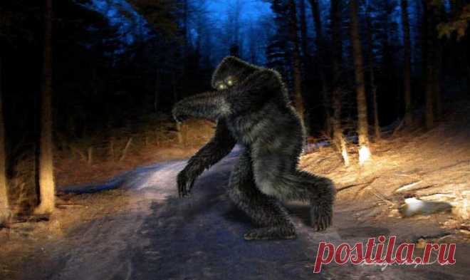 Sasquatch Art
(Изображение JPEG, 760 × 452 пикселов)