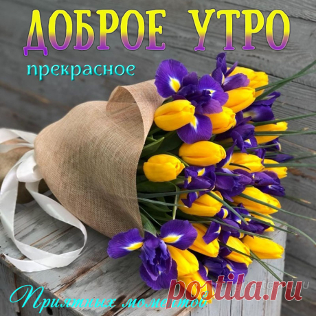 С добрым утром, улыбнись,
Пусть удачу принесет
Тебе каждое мгновение!
Пусть душа твоя поет,
Получая наслаждение!