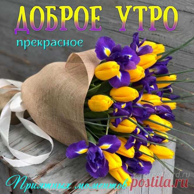 С добрым утром, улыбнись,
Пусть удачу принесет
Тебе каждое мгновение!
Пусть душа твоя поет,
Получая наслаждение!