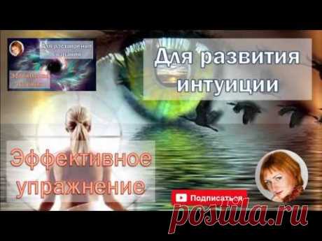 На развитие интуиции. Простое упражнение (Ева Ефремова)