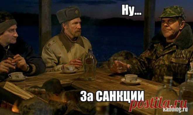 Наш ответ на санкции (65 фото + видео)