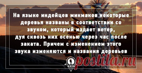 Факты об осени | Мир в фотографиях