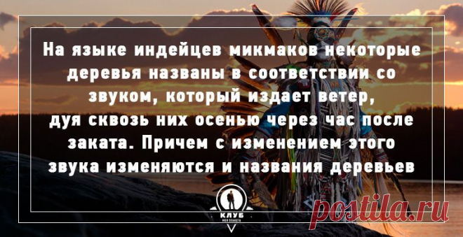 Факты об осени | Мир в фотографиях