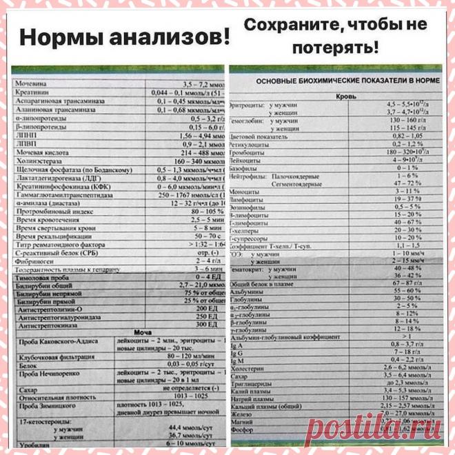 p-Gs5C2W75g.jpg (1280×1280)