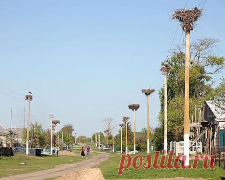 Марина Соболева (Скворцова)
48 лет, Россия, Ростовская обл. ст Багаевская