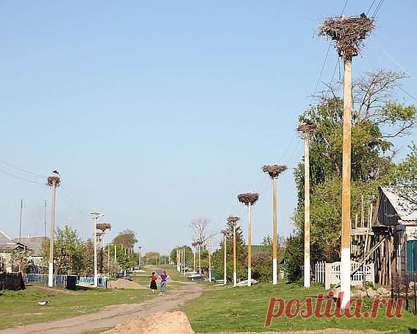 Марина Соболева (Скворцова)
48 лет, Россия, Ростовская обл. ст Багаевская