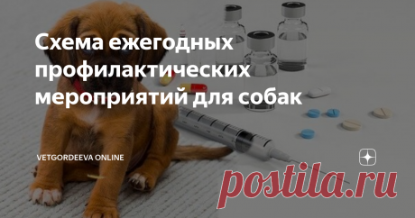 Схема ежегодных профилактических мероприятий для собак Статья автора «vetgordeeva online» в Дзене ✍: 

  Начнем с вакцинации от инфекционных заболеваний. Эти заболевания очень опасны, чтобы игнорировать вакцинацию.