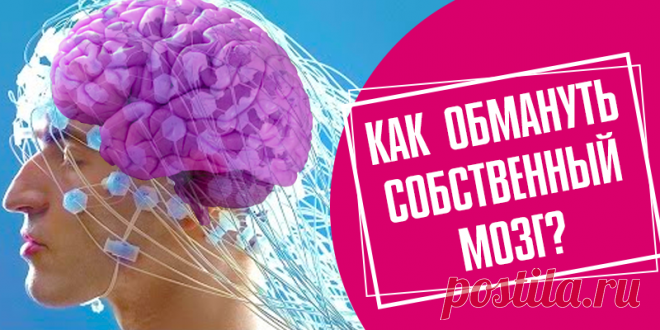 Как обмануть собственный мозг. | Факты