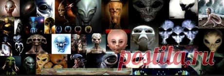 Инопланетяне и пришельцы — Кто они такие? Основные виды инопланетян и пришельцев