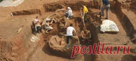 «Ну, еще один мамонт — кого этим в Прикамье удивишь?» – подумали сперва учёные о находке на обрывистом берегу Камы. Однако оказалось, что не мамонт вовсе попался в их руки, а другой гигант – один только бивень у него длиннее трёх метров (вон этот самый бивень на фотографии в окружении людишек).