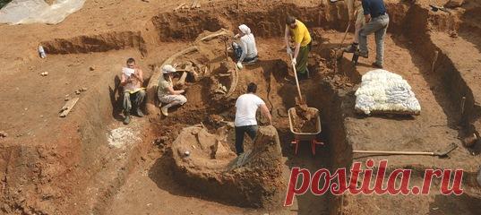 «Ну, еще один мамонт — кого этим в Прикамье удивишь?» – подумали сперва учёные о находке на обрывистом берегу Камы. Однако оказалось, что не мамонт вовсе попался в их руки, а другой гигант – один только бивень у него длиннее трёх метров (вон этот самый бивень на фотографии в окружении людишек).