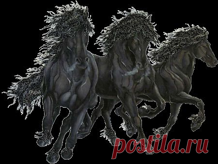 Кони, лошади Анимашки, анимационные картинки для личных дневников, блогов, гостевых