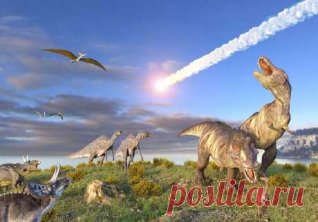 Extinciones masivas: tipos, consecuencias y periodos | Meteorología en Red