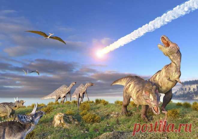 Extinciones masivas: tipos, consecuencias y periodos | Meteorología en Red