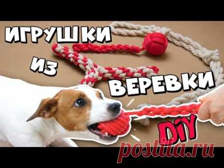 DIY ИГРУШКИ ДЛЯ СОБАК | ПРОЧНЫЕ ИГРУШКИ ИЗ ВЕРЁВКИ - YouTube