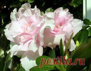 Это интересно!