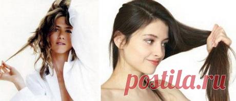 Как правильно ухаживать за волосами в домашних условиях? Полезные советы по уходу за волосами