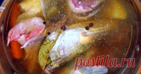 Щука - 56 рецептов приготовления пошагово - 1000.menu