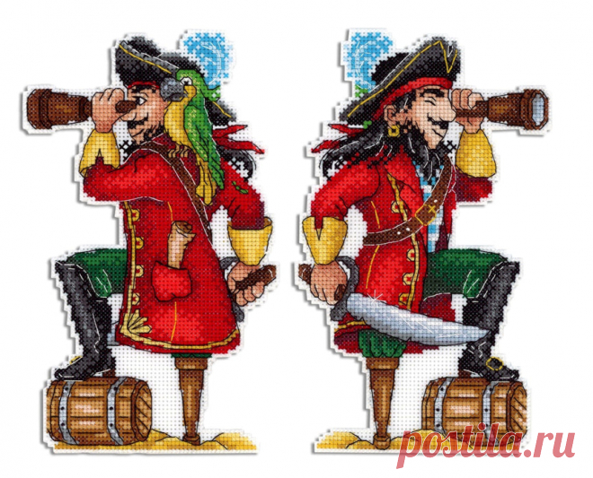 Brave Pirate SR-450 Plastic Canvas Counted Cross Stitch Kit — Wizardi