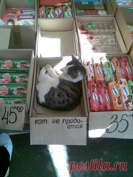 Новости