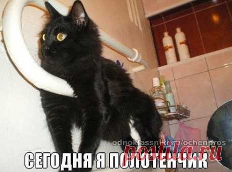 Полотенчико шерстяное)