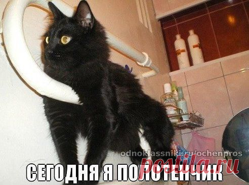 Полотенчико шерстяное)