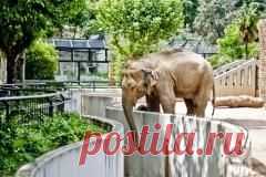 Сегодня 20 июня отмечается 