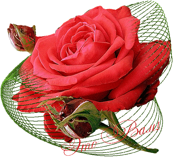 ♡ МУЗЫКАЛЬНОЕ ПОЗДРАВЛЕНИЕ ♡ - ** ДЛЯ ВАС !!! **