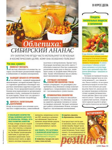 Облепиха: сибирский ананас