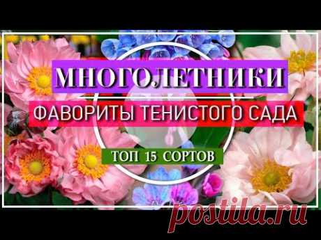 15 ЦВЕТУЩИХ МНОГОЛЕТНИКОВ Для ТЕНИ  / ФАВОРИТЫ ТЕНИСТОГО САДА