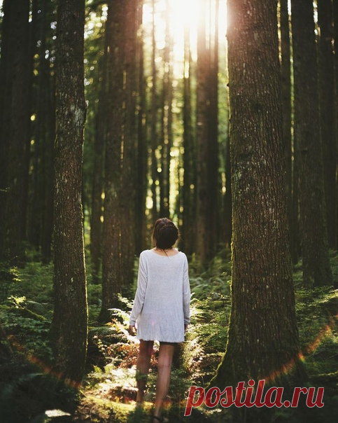 Кто созерцал величие природы, тот и сам стремится к совершенству и гармонии. Наш внутренний мир должен уподобляться этому образцу. В чистой атмосфере все чисто.

Оноре де Бальзак, 